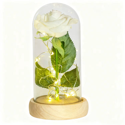 Gifts for Her Beauty and the Beast Eternal Rose in Glass Dome Artificial Forever Flower LED Light Mothers Day Gifts for Women