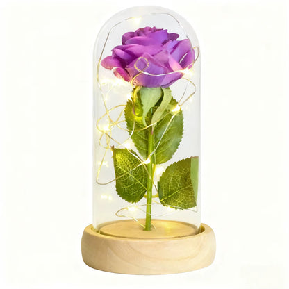 Gifts for Her Beauty and the Beast Eternal Rose in Glass Dome Artificial Forever Flower LED Light Mothers Day Gifts for Women