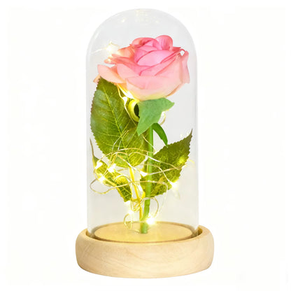 Gifts for Her Beauty and the Beast Eternal Rose in Glass Dome Artificial Forever Flower LED Light Mothers Day Gifts for Women